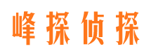 金山屯市侦探调查公司